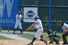 Baseball vs Babson NEWMAC Finals  Wheaton College vs Babson College play in the NEWMAC baseball championship finals. - (Photo by Keith Nordstrom) : Wheaton, baseball, NEWMAC, Babson